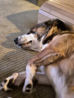 /album/10-11-2025/afbeelding-van-whatsapp-op-2025-11-10-om-19-24-26-c2859531-jpg/